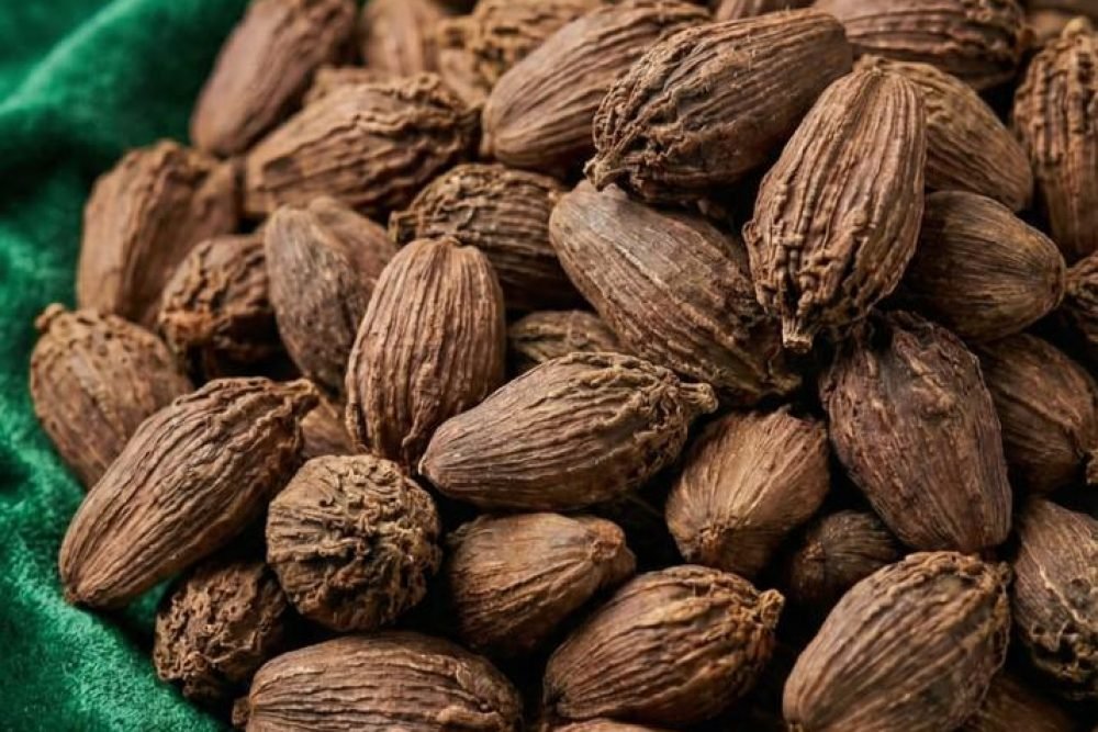 WhatsApp Image 2026-01-19 at 5.14.54 PM