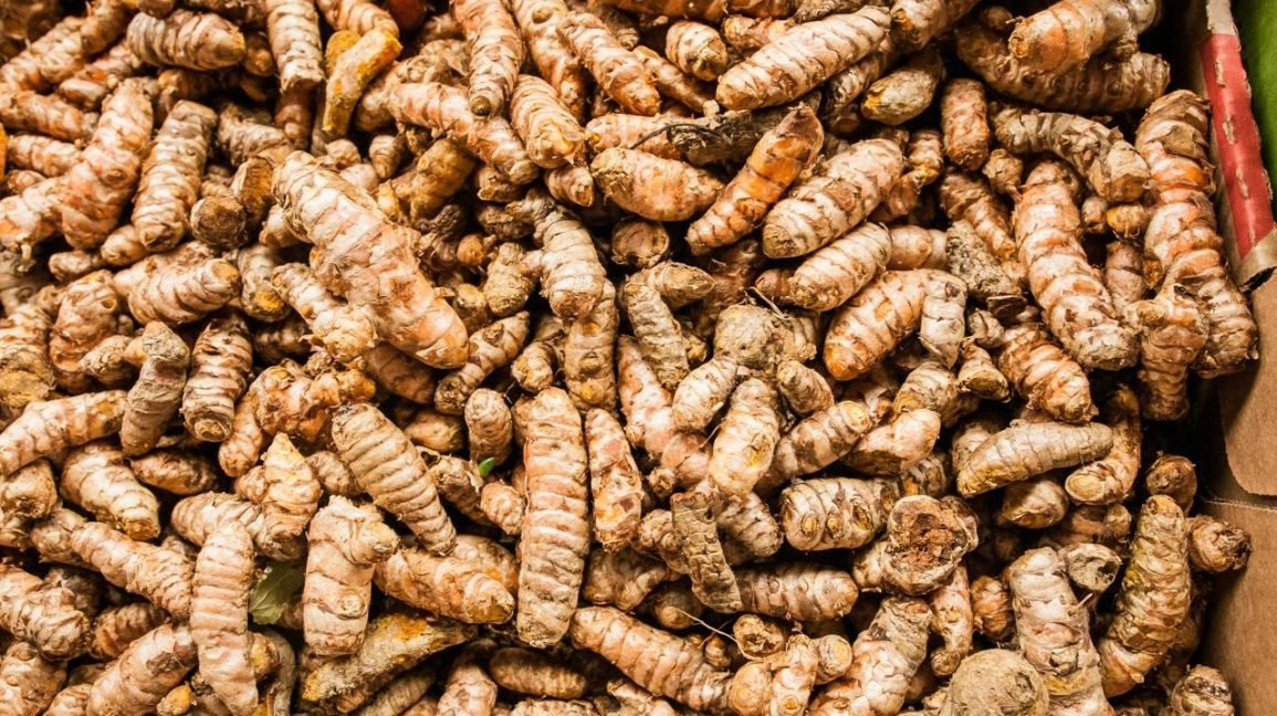 WhatsApp Image 2026-01-20 at 12.00.50 PM